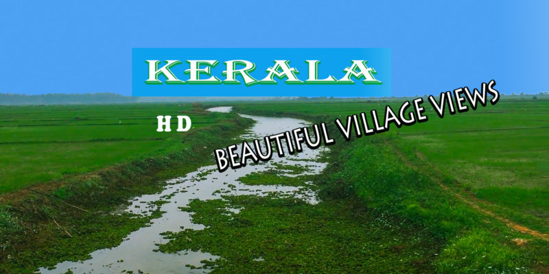 Beautiful Village Views In Kerala - Part - 1