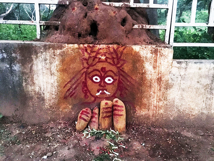 കാട്ടുദൈവം