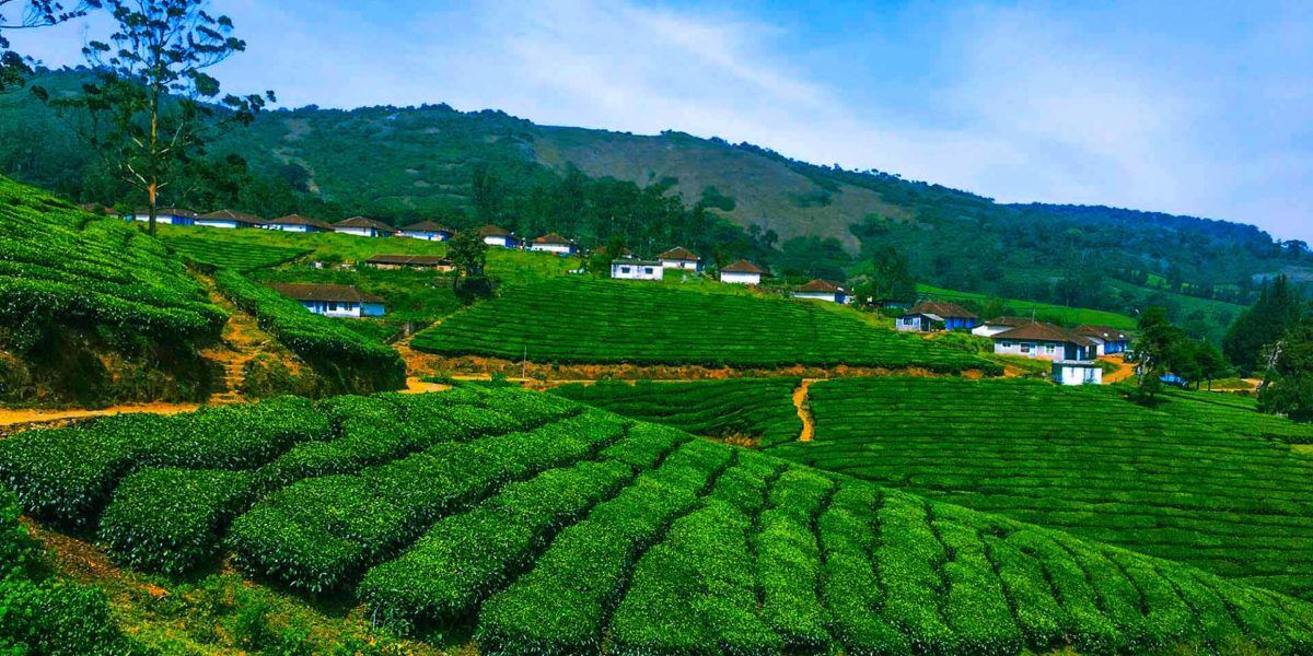 meghamalai-view-theni-tamil-nadu-india-tramptraveller