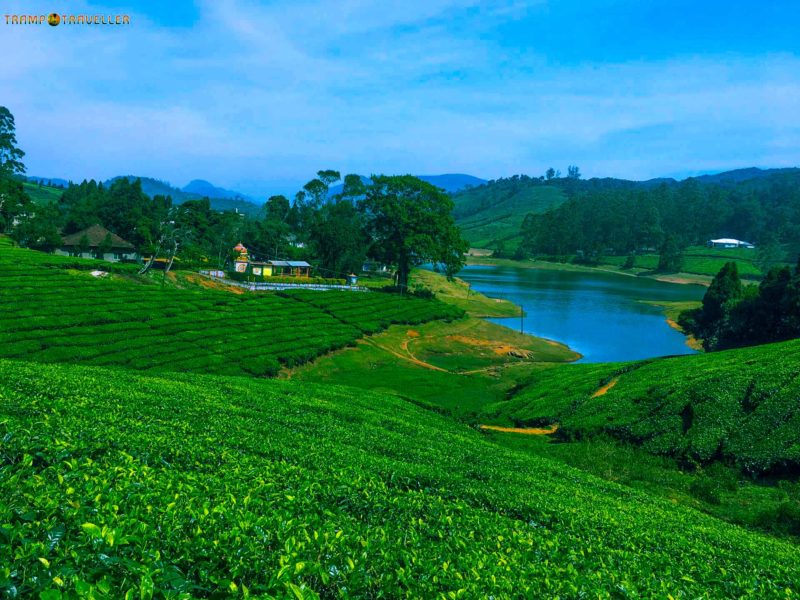 Meghamalai View – Theni – Tamil Nadu – India. TrampTraveller