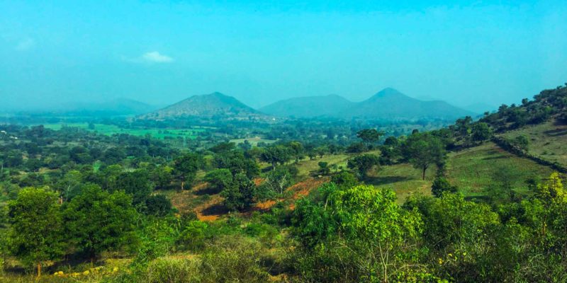 Nagarhole National Park