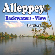 Alleppey - Backwaters