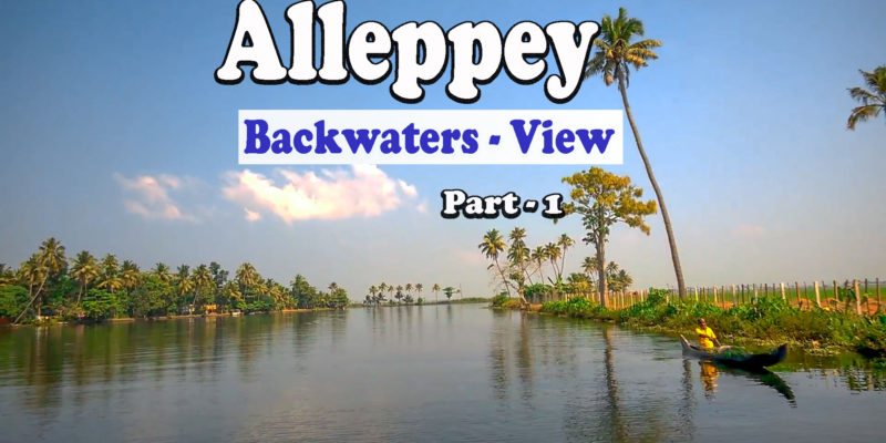 Alleppey - Backwaters