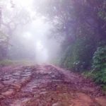 Monsoon Road Trips In Vagamon – Part – 1. Idukki – Kerala – India.