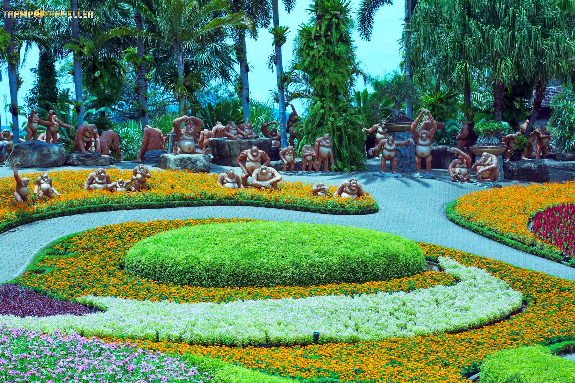 Nong Nooch Village Butterfly Hill