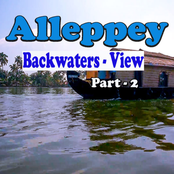 Alleppey - Backwaters View