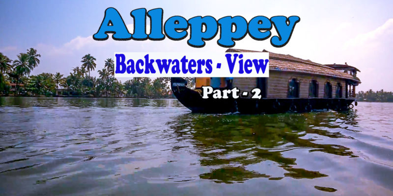 Alleppey - Backwaters View