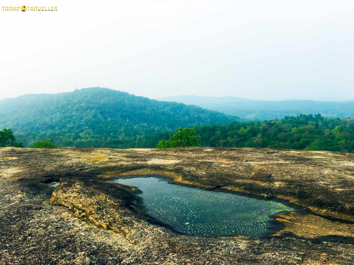 Oottupaara View Point TrampTraveller