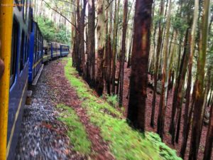 Ooty Coonoor Train Journey