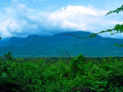 Parambikulam Wildlife Sanctuary