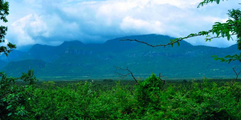 Parambikulam Wildlife Sanctuary