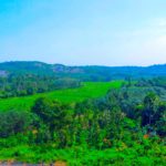 Thanneermukkam  Alappuzha Road View