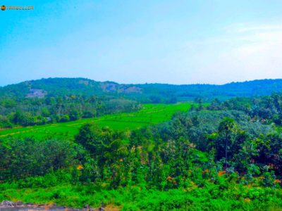 Palakkad Village View