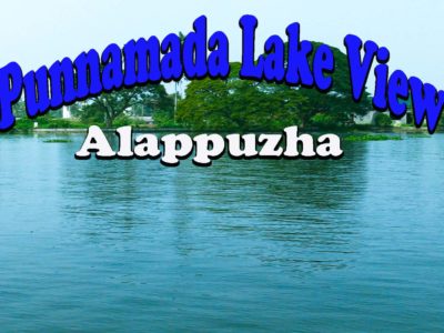 Punnamada Lake View