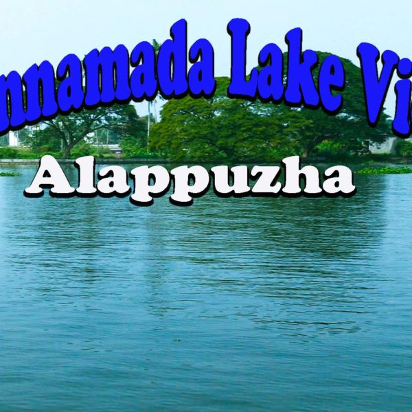 Punnamada Lake View