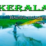 Palakkad Village View