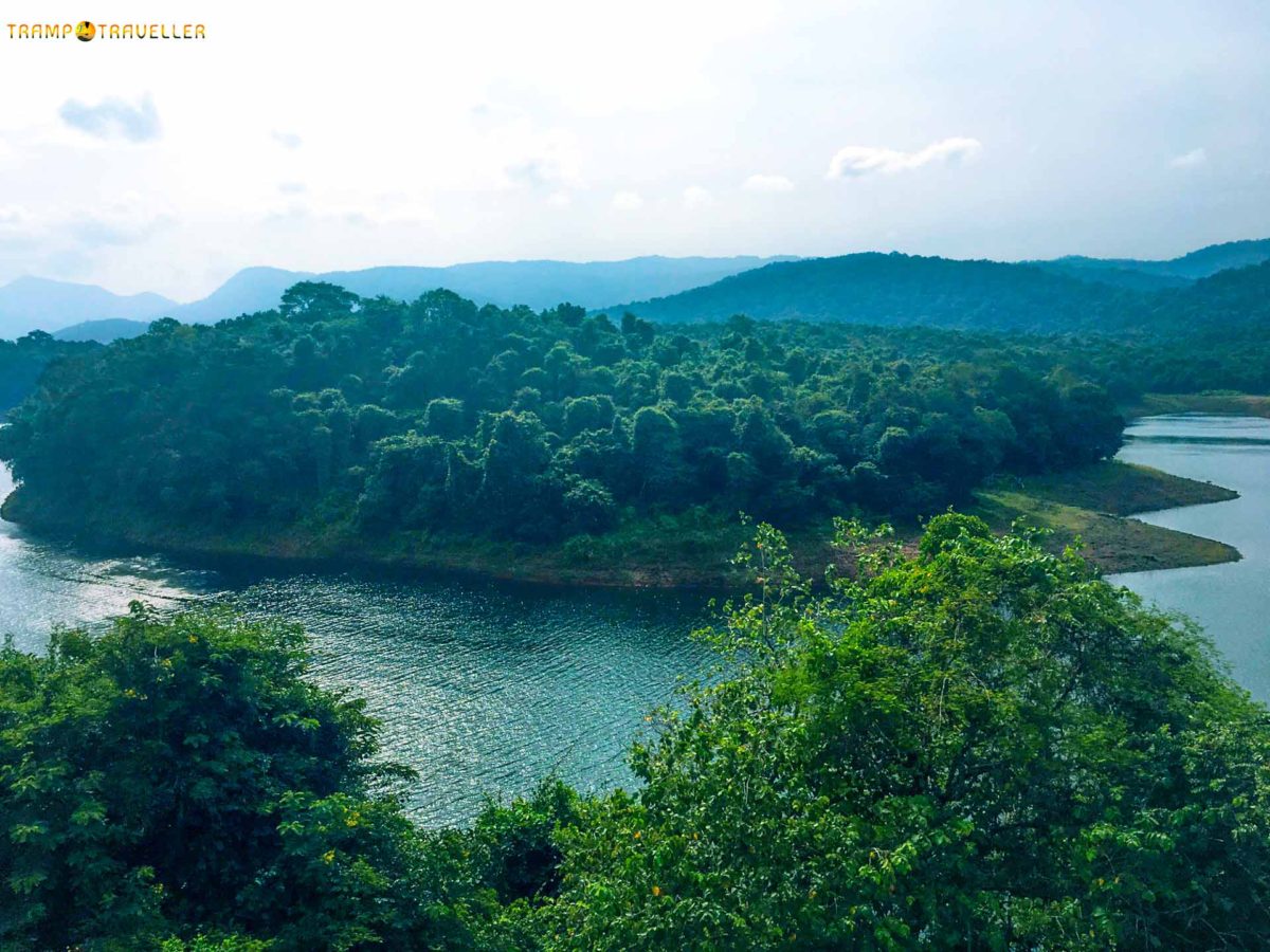 Peechi Dam TrampTraveller