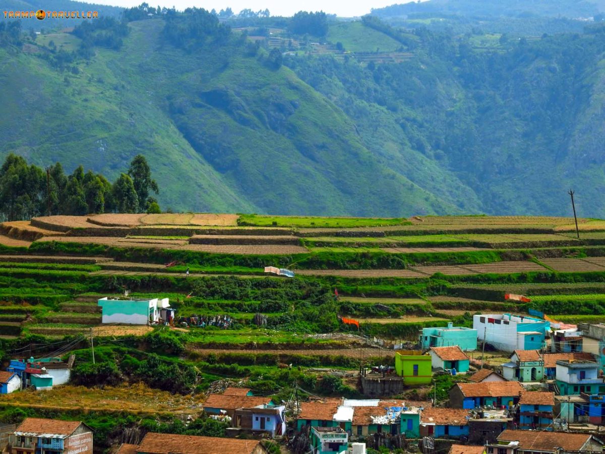 Poombarai Village View – Kodaikanal TrampTraveller