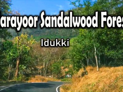 Marayoor Sandalwood Forests