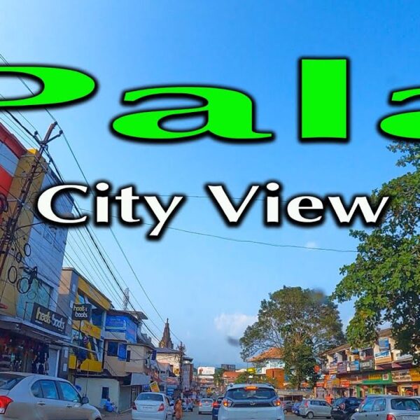 Pala City View
