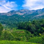 Kuttalam Waterfalls